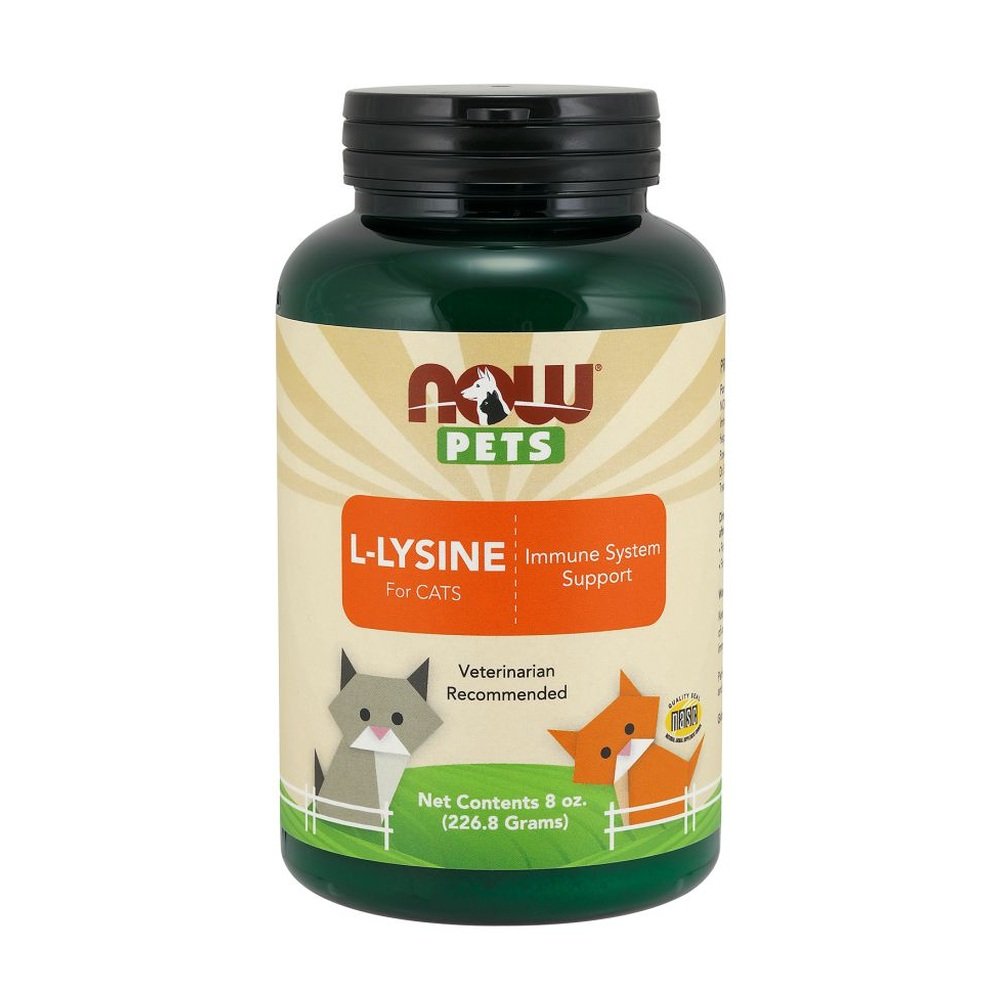 L Lysine for Cats para gatos em pó 8oz 226g NOW Pets